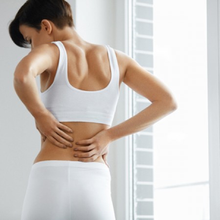 bol v spine